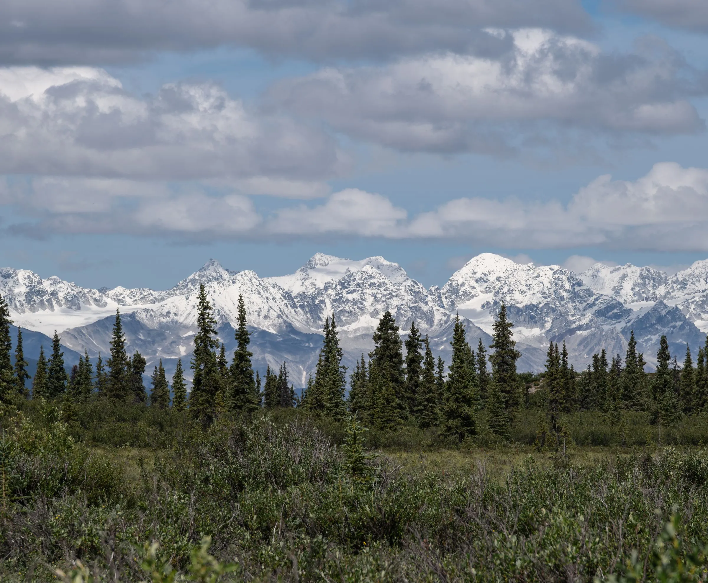 Snowy peaks of a mountain range rising above a band of dark spruce forest